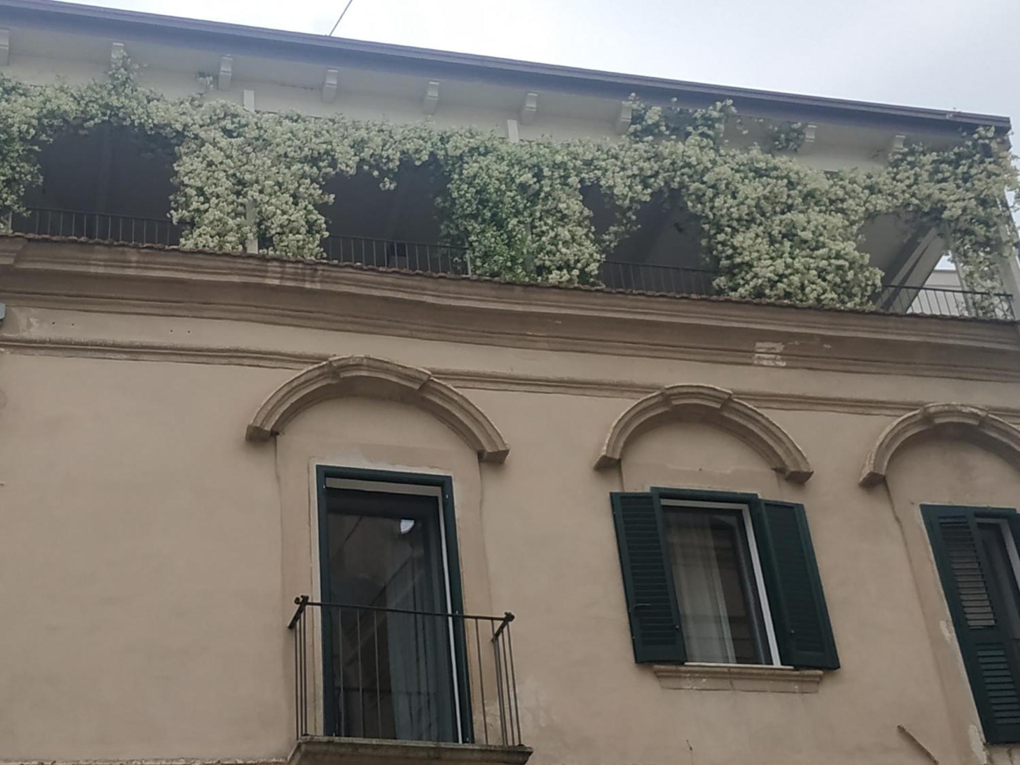 Miro' Rooms Gravina in Puglia Exterior foto